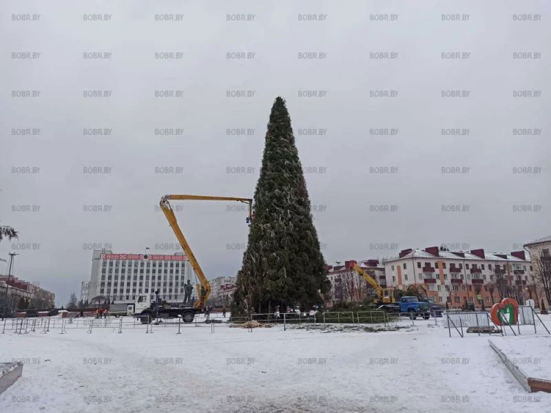 Ёлочка, прощай