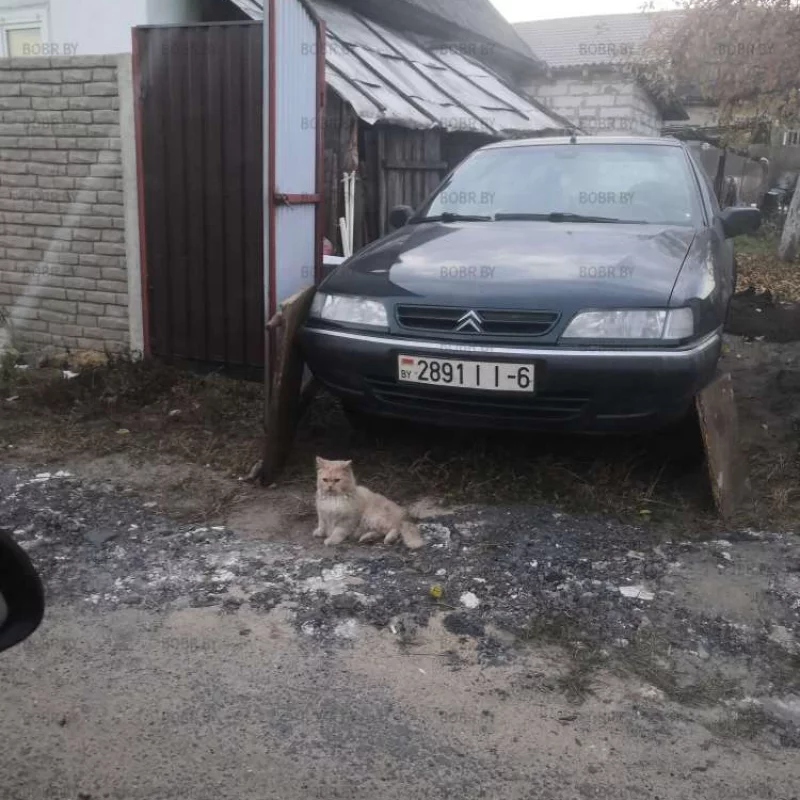 Охрана машины)) 