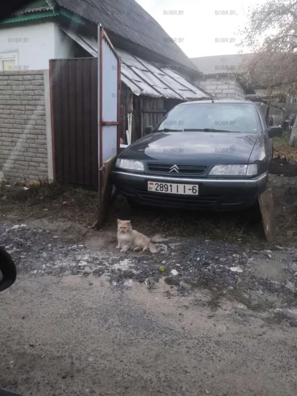 Охрана машины)) 