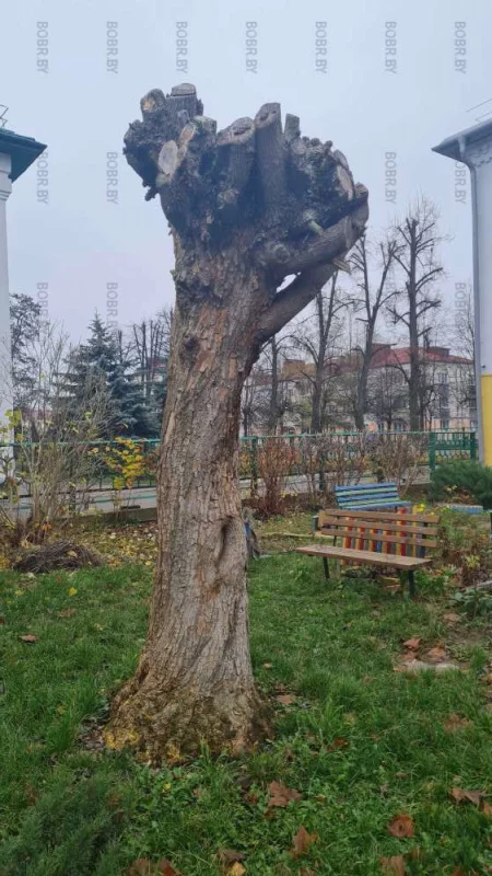 Арт-объект от Бобруйского зеленхоза.