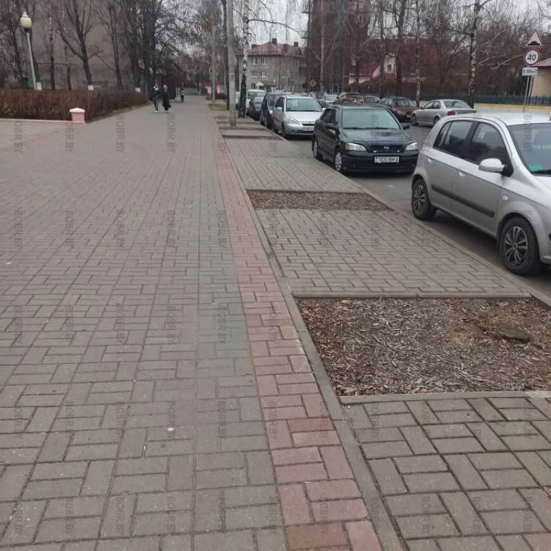 Деревья где-то потерялись