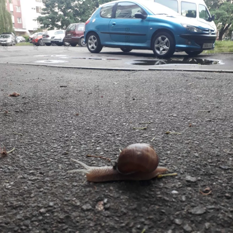 На работу