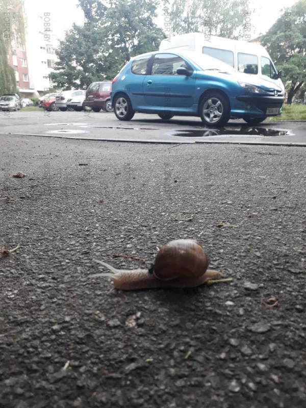 На работу