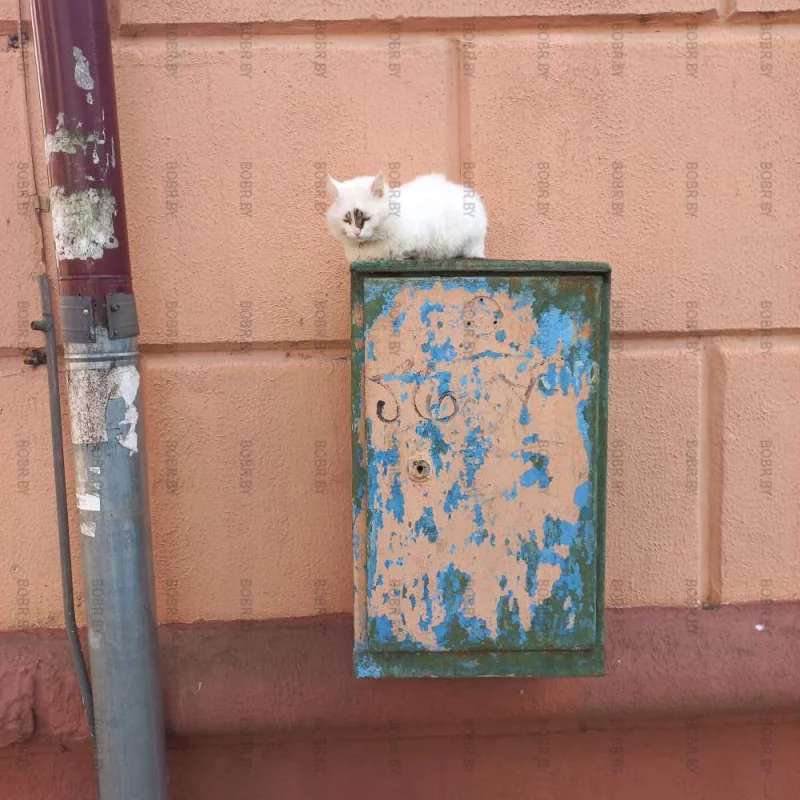 Котчтальен