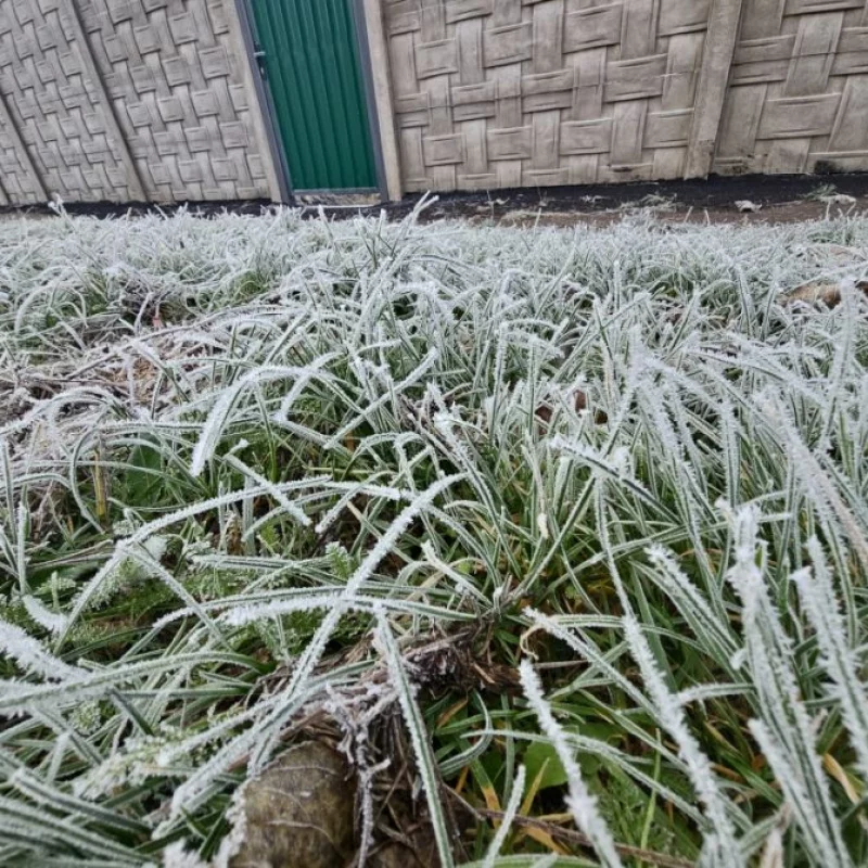 Иней в Бобруйске