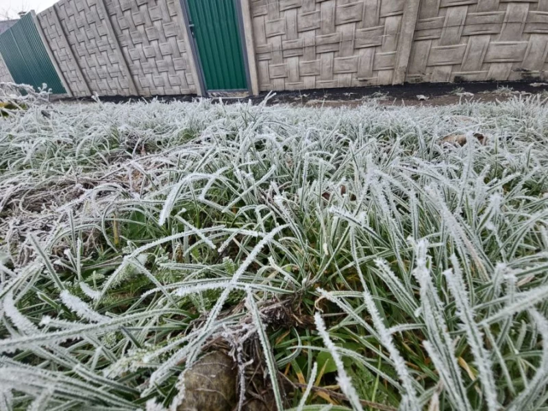 Иней в Бобруйске