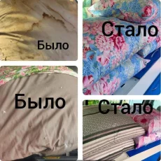 Профессиональная чистка подушек на выезде