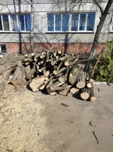 Дрова бесплатно