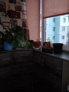 Однокомнатную квартиру