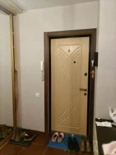 Однокомнатная квартира по пр-ту Строителей, д. 66, кор. 2