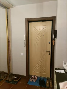 Однокомнатная квартира по пр-ту Строителей, д. 66, кор. 2