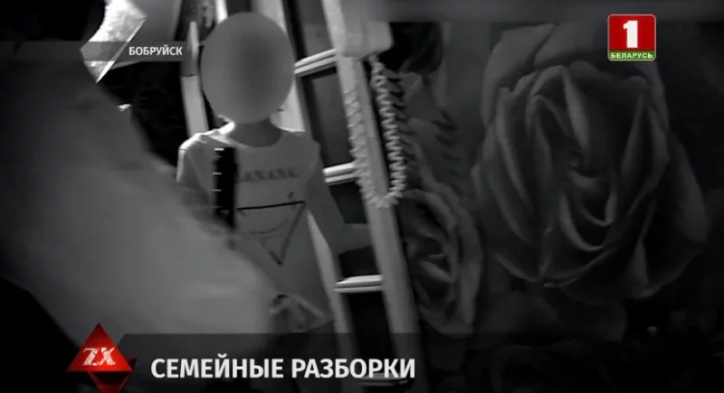 Жителю Бобруйска, убившему сожителя дочери, предъявлено обвинение
