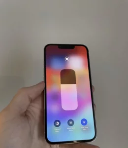 IPhone 13 Pro 256gb Silver