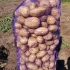 Картофель
