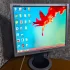 Монитор SAMSUNG 19