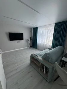 1 комнатную квартиру в центре