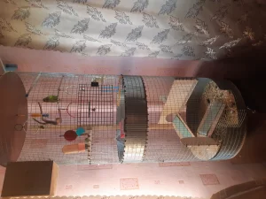 Клетка двухъярусная
