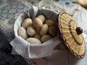 Яйцо гусиное подкладное или для инкубатора
