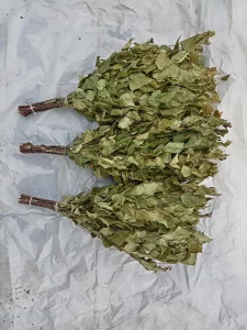 Веники для бани БЕРЕЗОВЫЕ