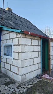 Дом в деревне