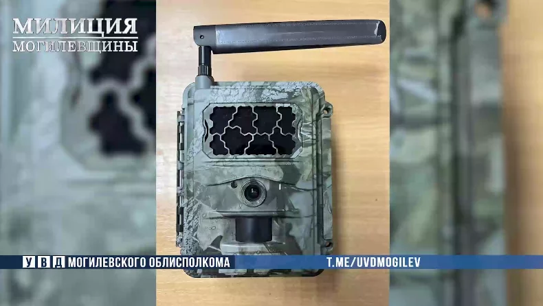 Бобруйчанин украл фотоловушку ради наблюдения за животными