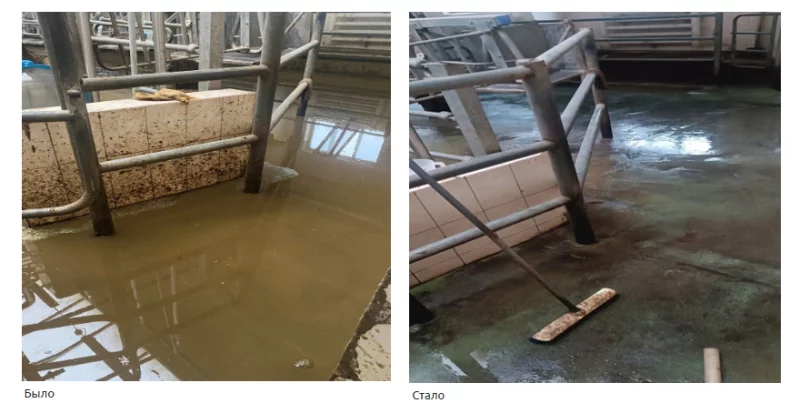 В Бобруйском районе зафиксированы недоработки на животноводческих объектах