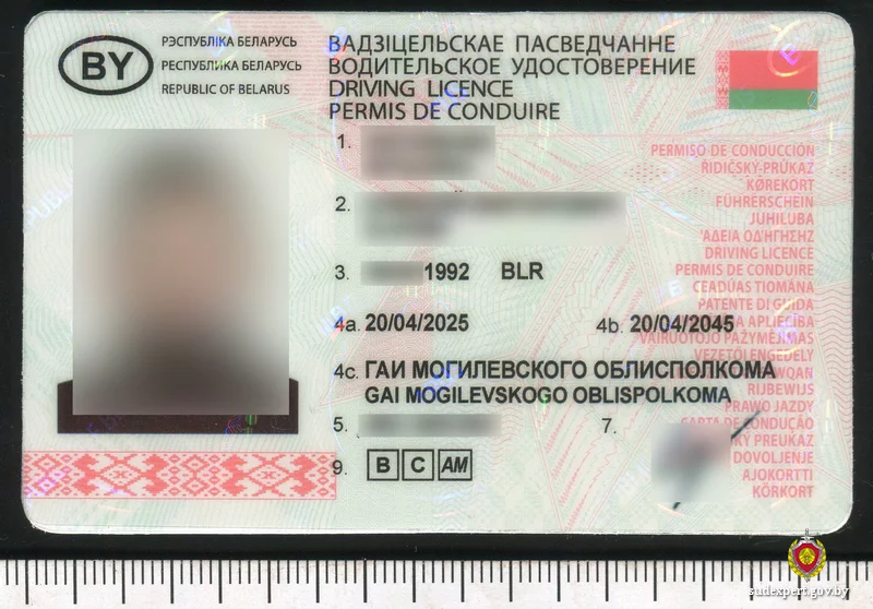 В Бобруйске задержан иностранец с поддельным водительским удостоверением