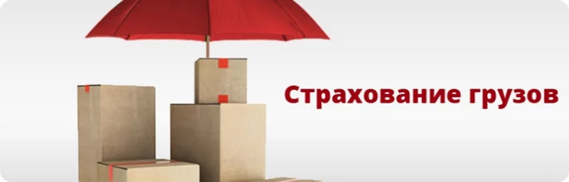 Что дороже — страховать опасный груз или скоропортящийся? Сравнительный анализ