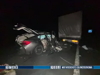 Возле Бобруйска на трассе М-5 молодой пассажир BMW погиб в столкновении с фурой