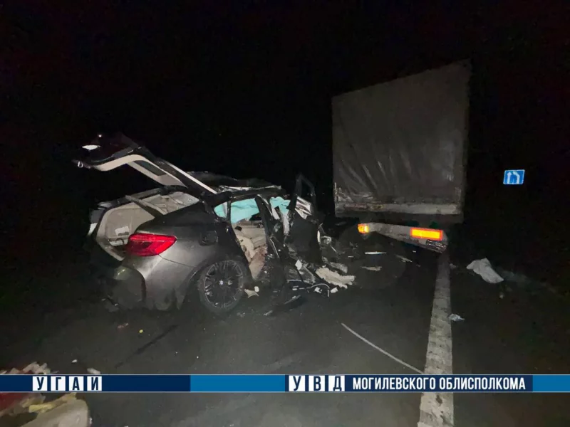 Возле Бобруйска на трассе М-5 молодой пассажир BMW погиб в столкновении с фурой