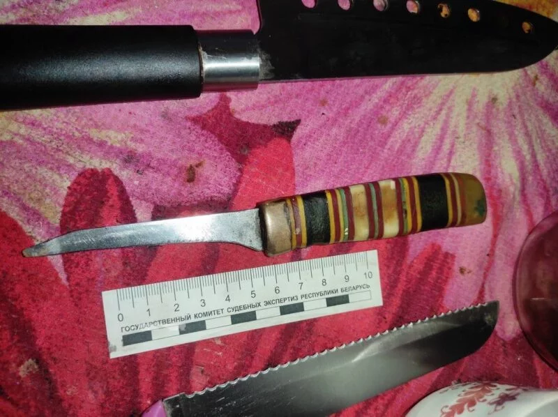В Гомеле оперативно раскрыто убийство: сестра зарезала брата