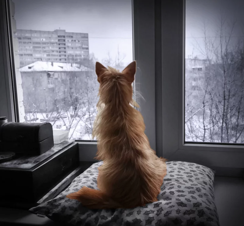Отопительный сезон в Бобруйске должен быть безопасным