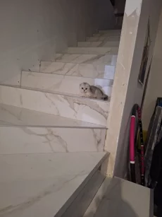 Идеальный ремонт квартиры без нервов, грязи и лишних трат!