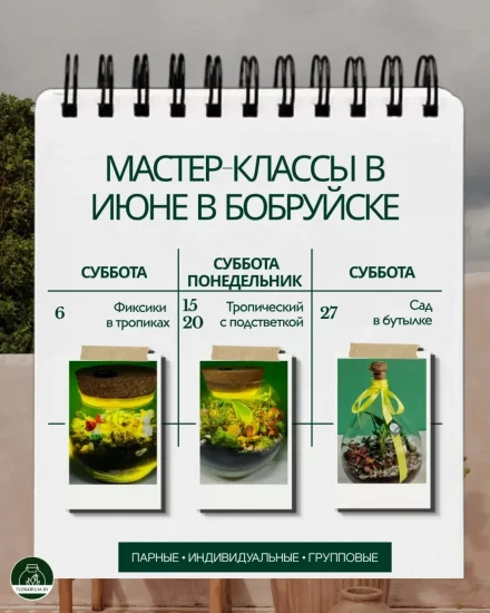 Мастер-класс по созданию флорариума в Бобруйске: расписание на июнь