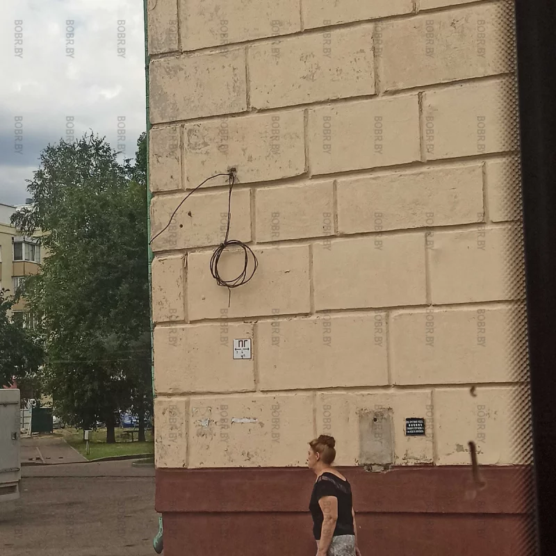 Красота