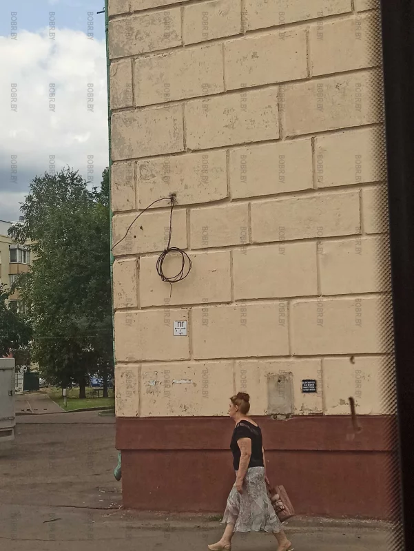 Красота