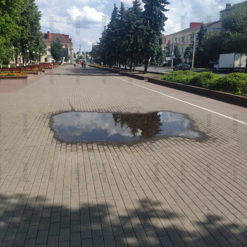 Качество укладки тротуарной плитки. Преимущества плитки в том что её можно снять, больше подсыпать земли положить обратно, и больше лужи здесь никогда не будет.