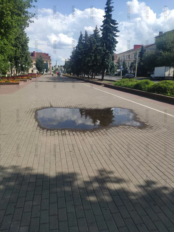 Качество укладки тротуарной плитки. Преимущества плитки в том что её можно снять, больше подсыпать земли положить обратно, и больше лужи здесь никогда не будет.