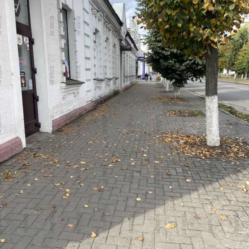 В воздухе витает осень 