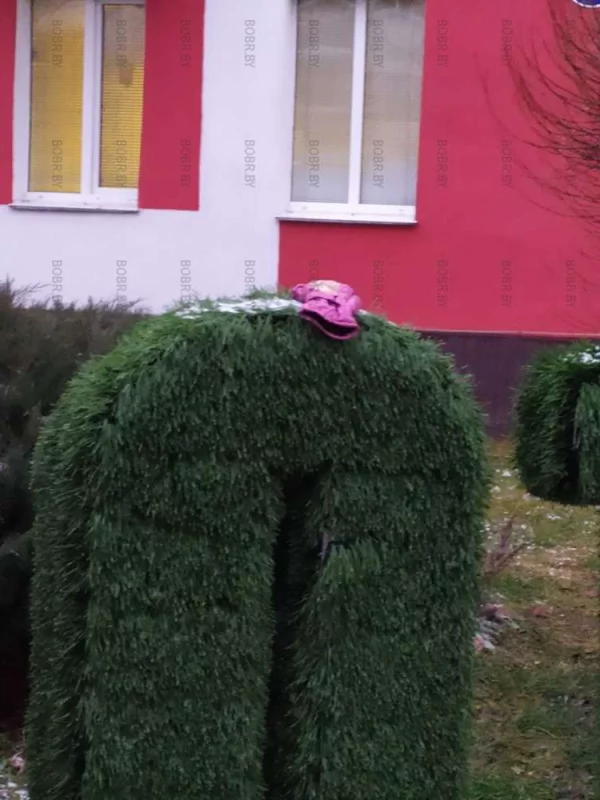 Потеряшка