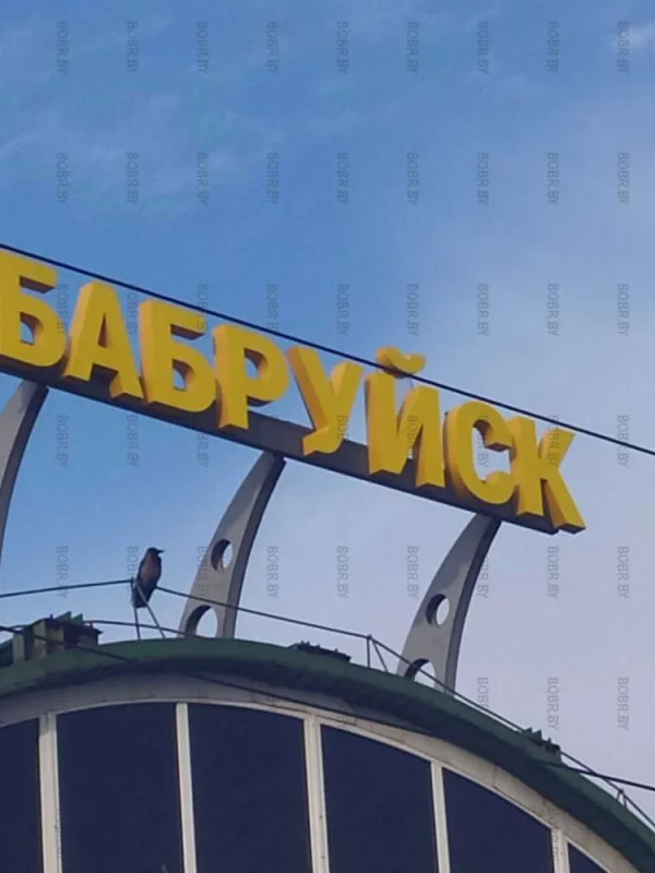 На страже