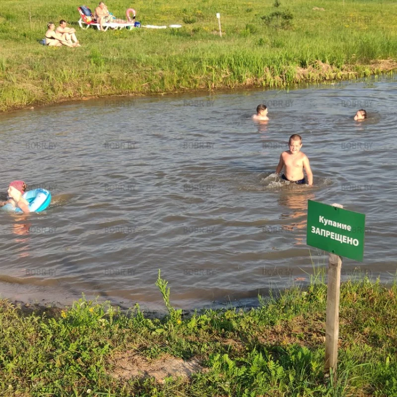 Зона отдыха зелёный мир.
