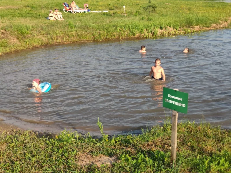 Зона отдыха зелёный мир.