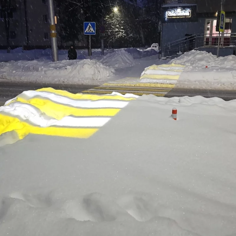 Зебра на сугробе