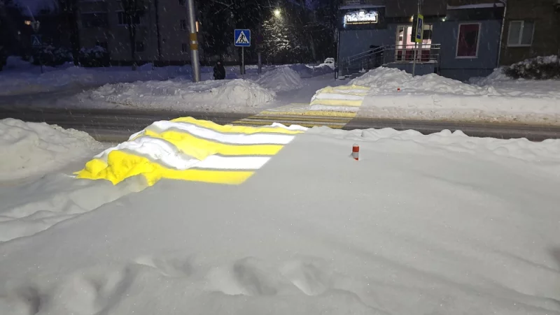 Зебра на сугробе