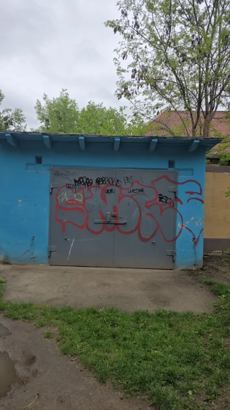 Бэнкси родом из Бобруйска