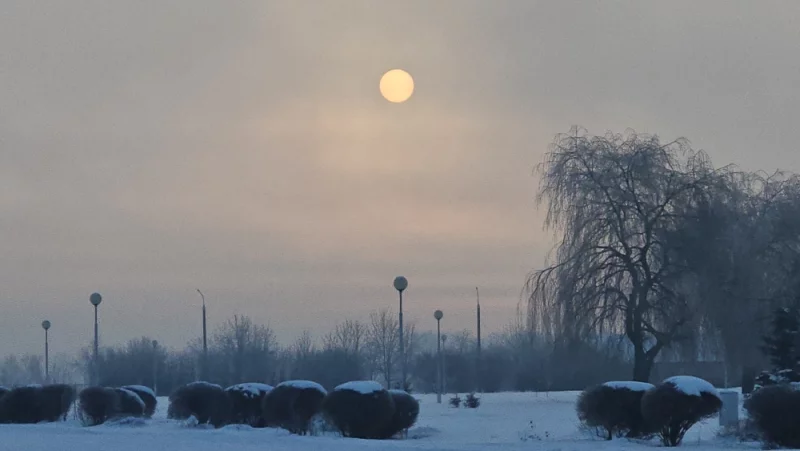 Февральское солнце