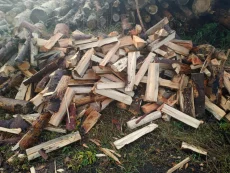 Дрова, обрезки дуба