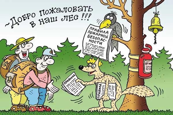 Безопасные лесные прогулки