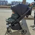 Коляска Carello Bravo Carbon